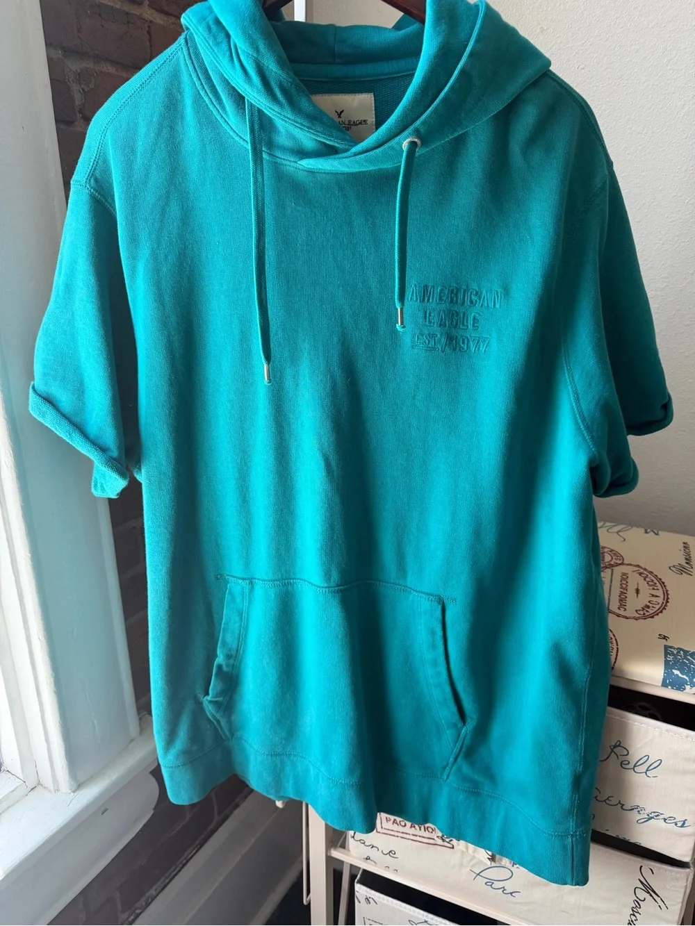 American Eagle Teal Embroidered Logo Short-Sleeve Hoodie